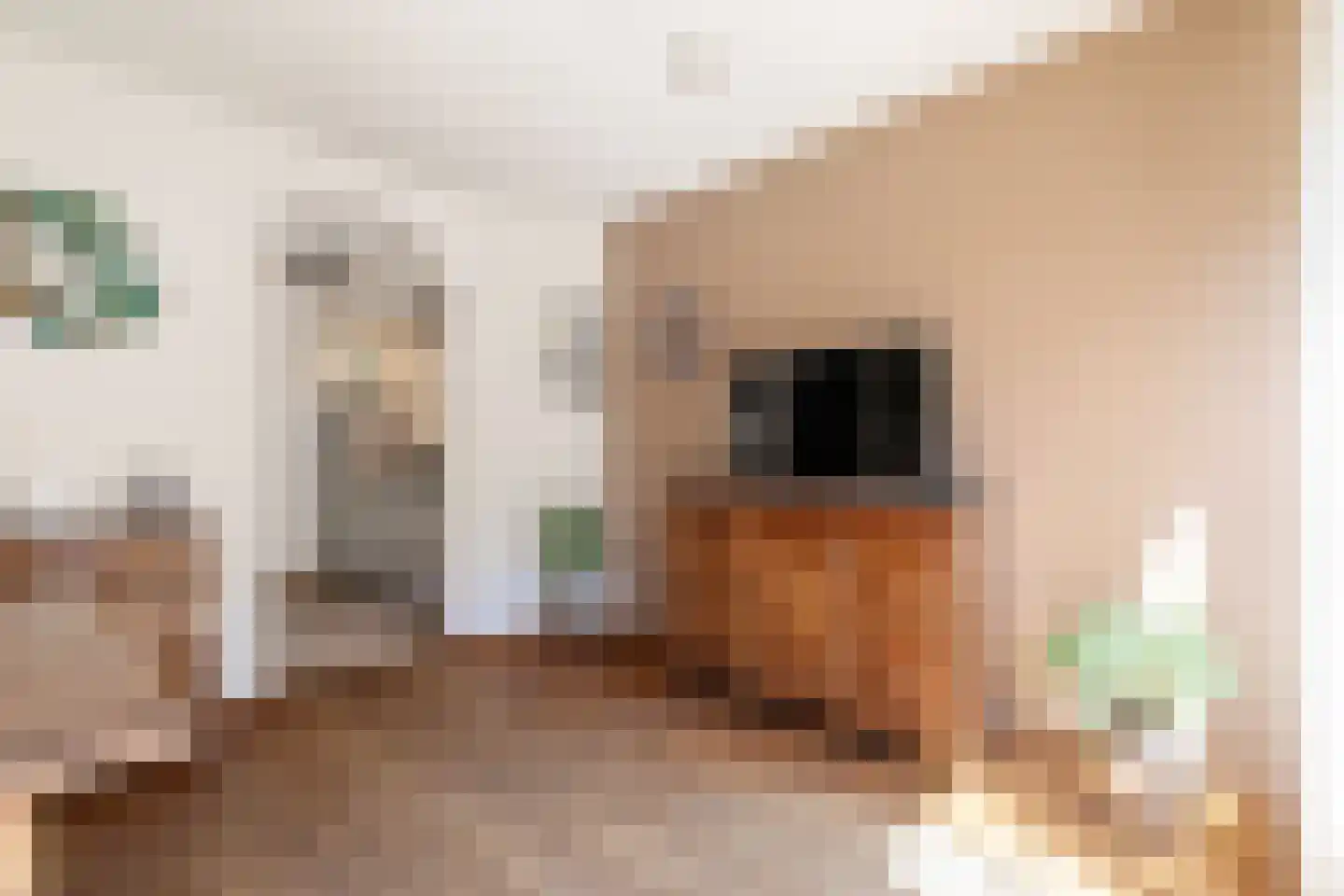 Transvaalstraat 32 Tilburg thumbnail 17