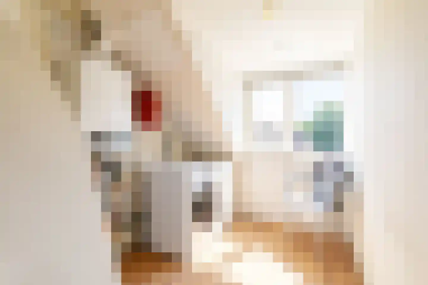 Transvaalstraat 32 Tilburg thumbnail 43