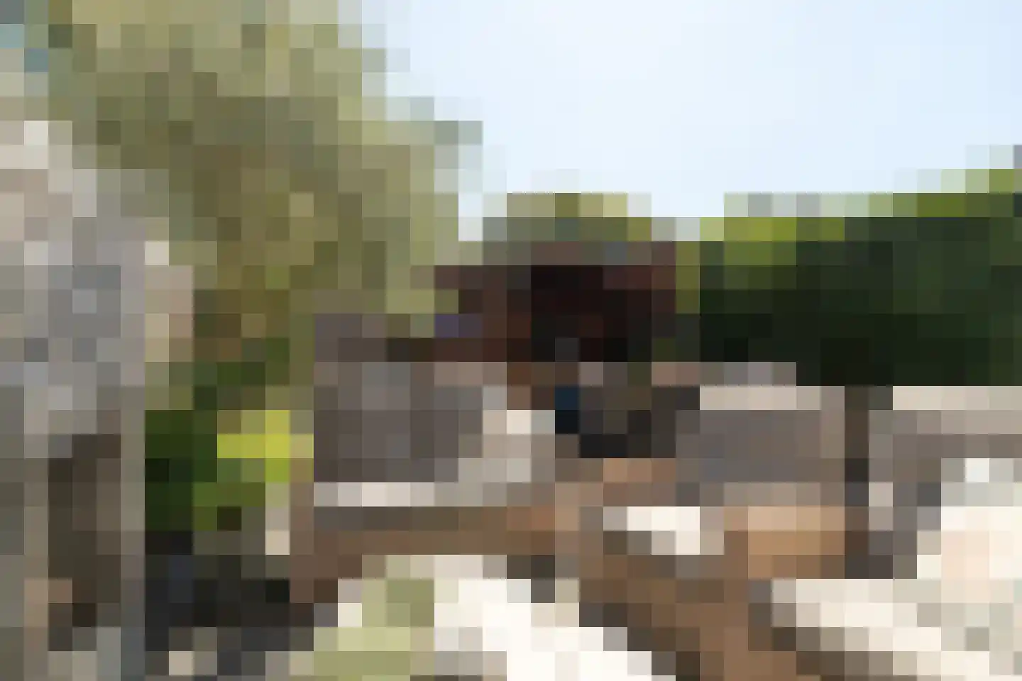 Transvaalstraat 32 Tilburg thumbnail 52