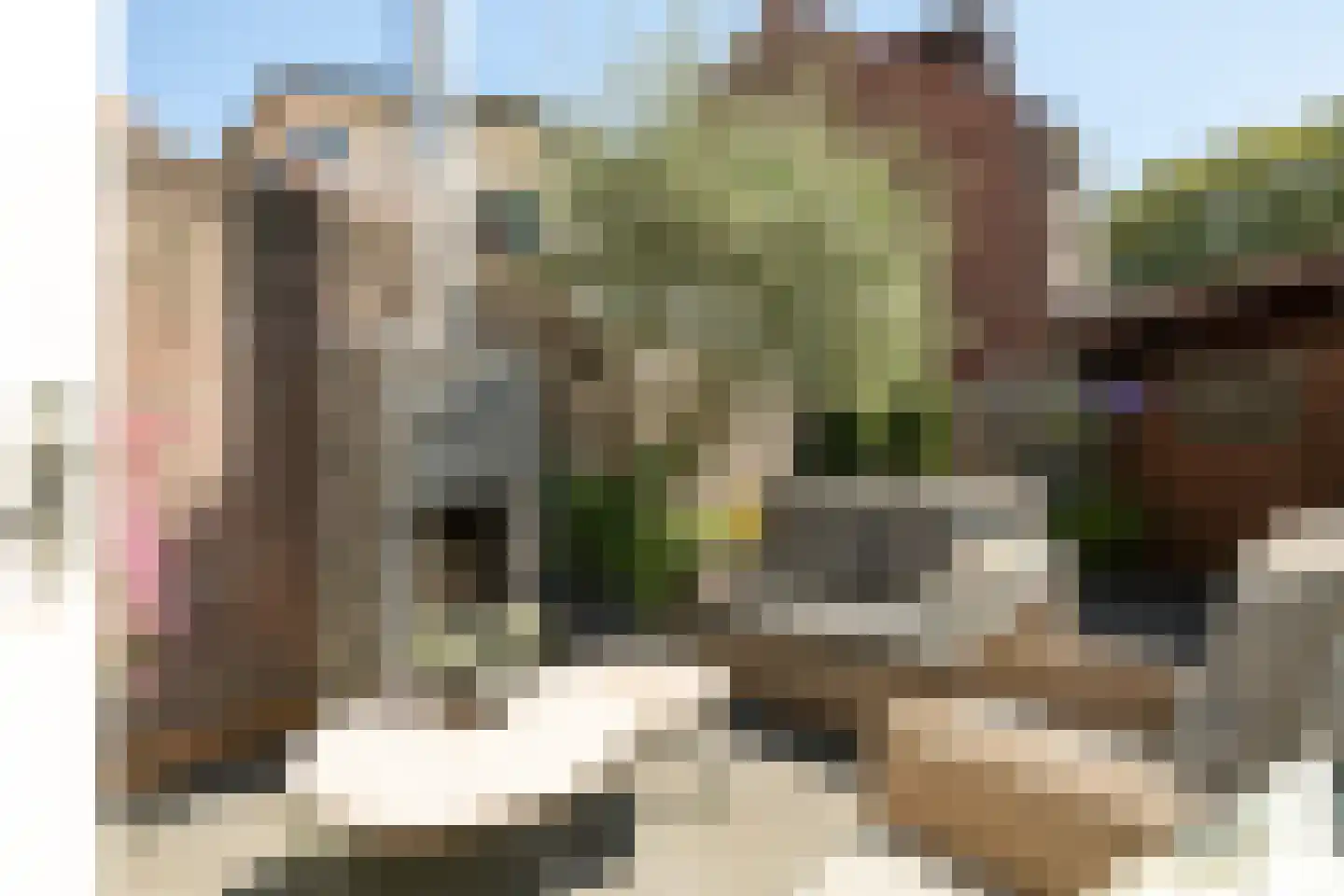 Transvaalstraat 32 Tilburg thumbnail 53