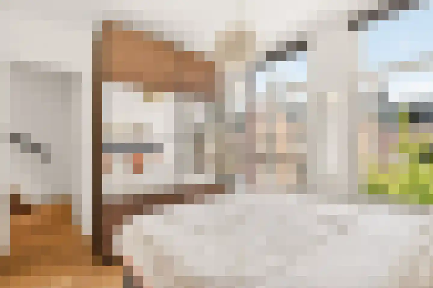 Transvaalstraat 39 2 Amsterdam thumbnail 37