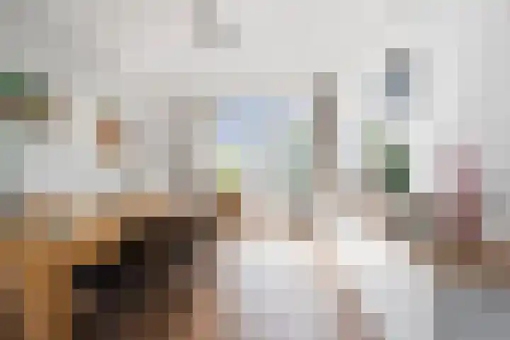Transvaalstraat 43 D Amsterdam thumbnail 10