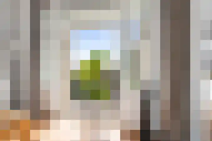 Transvaalstraat 43 D Amsterdam thumbnail 11