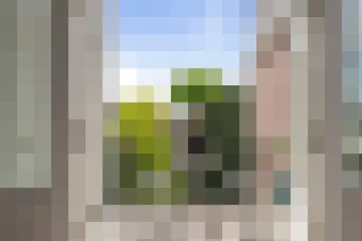 Transvaalstraat 43 D Amsterdam thumbnail 12