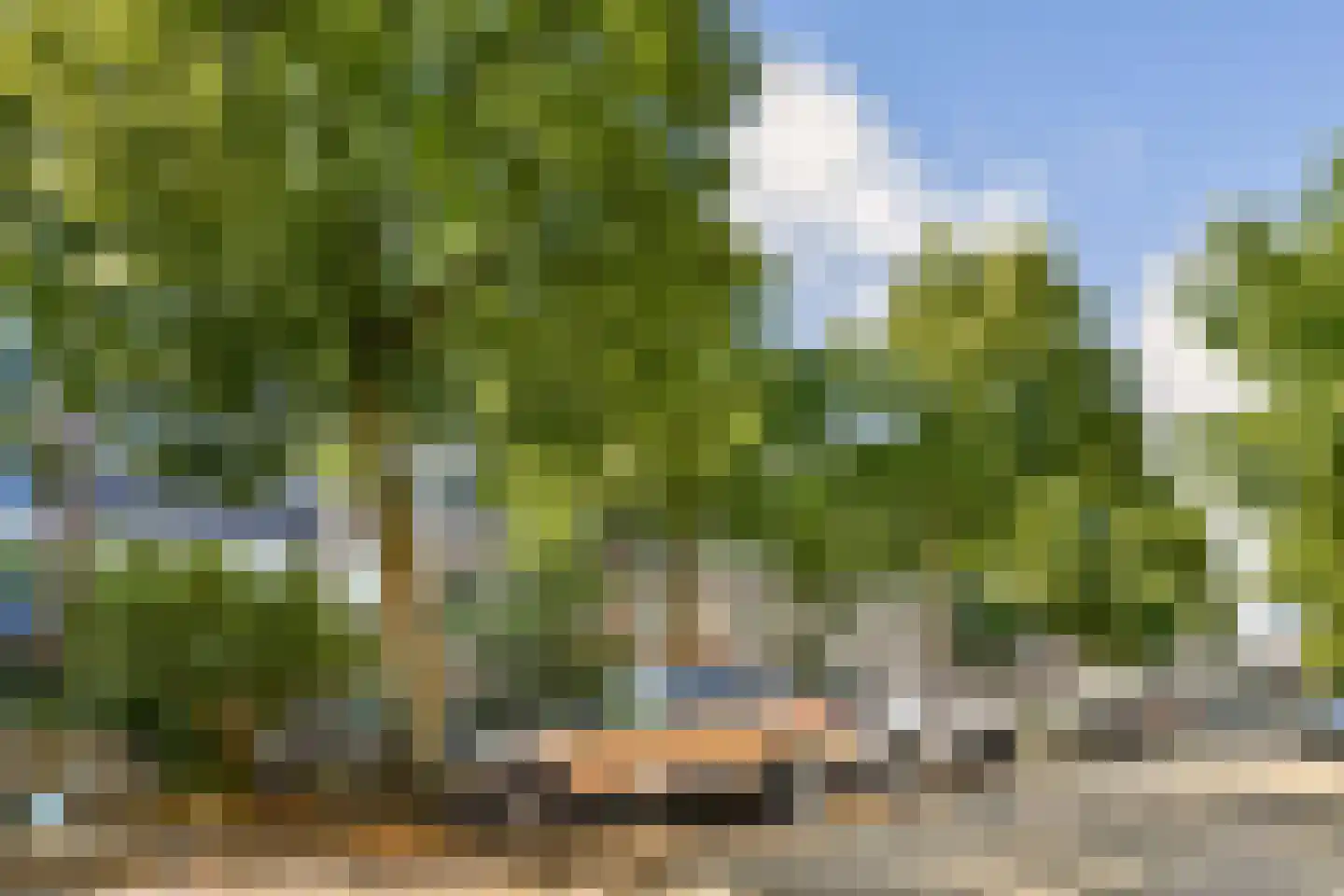 Transvaalstraat 79 H Amsterdam thumbnail 18