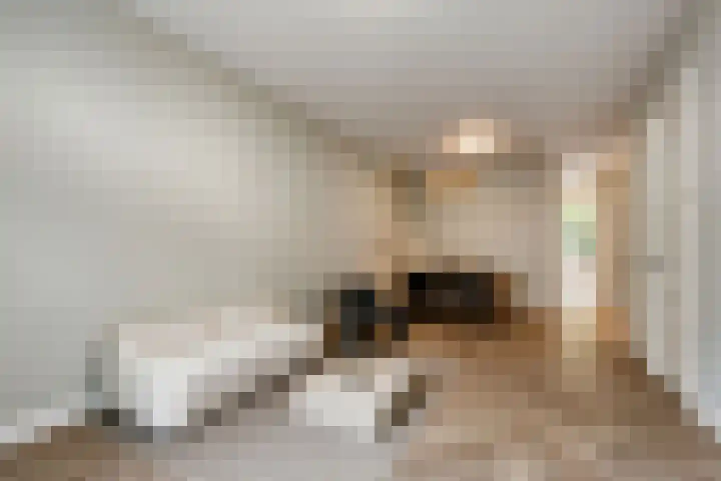 Transvaalstraat 79 H Amsterdam thumbnail 5