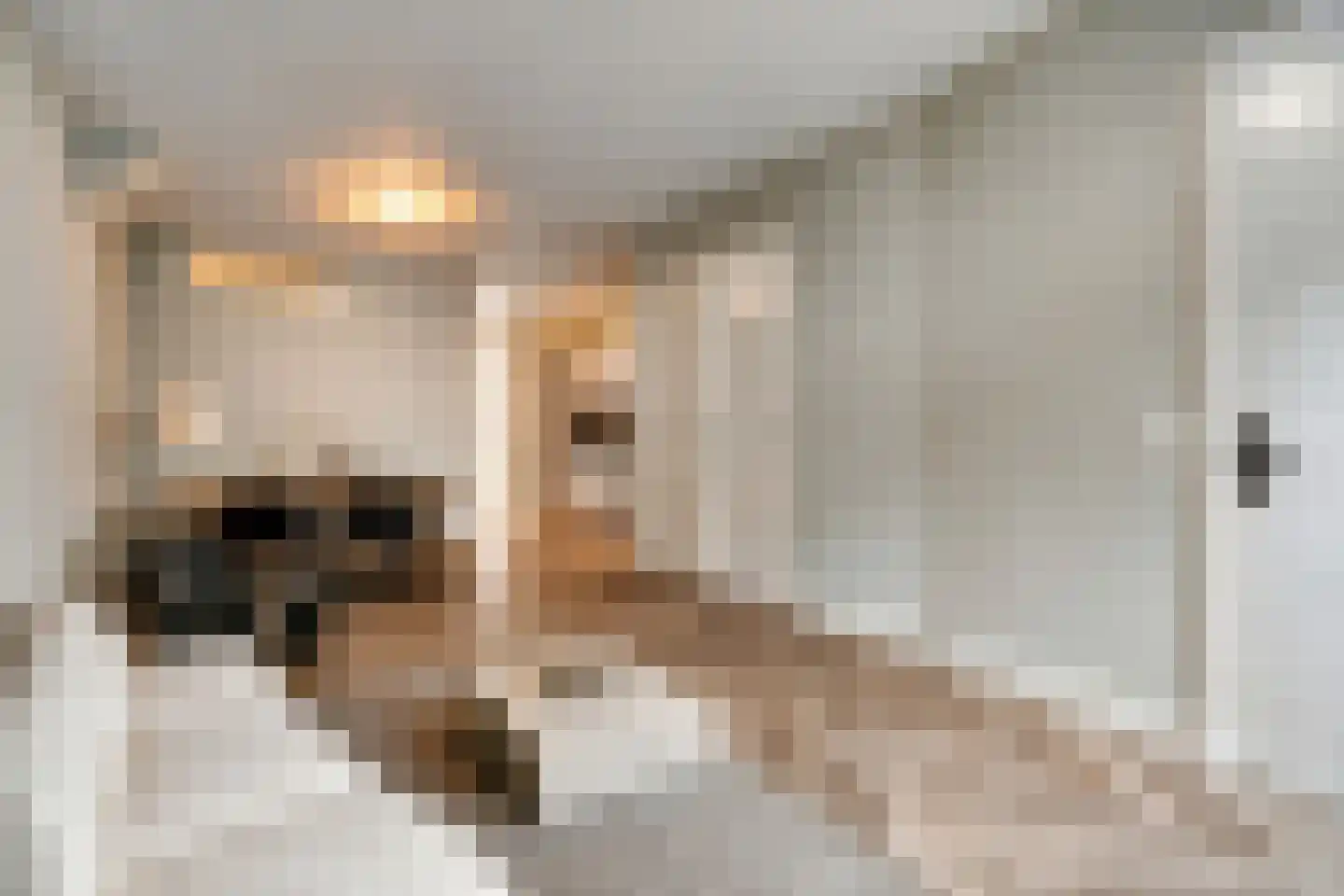 Transvaalstraat 79 H Amsterdam thumbnail 6