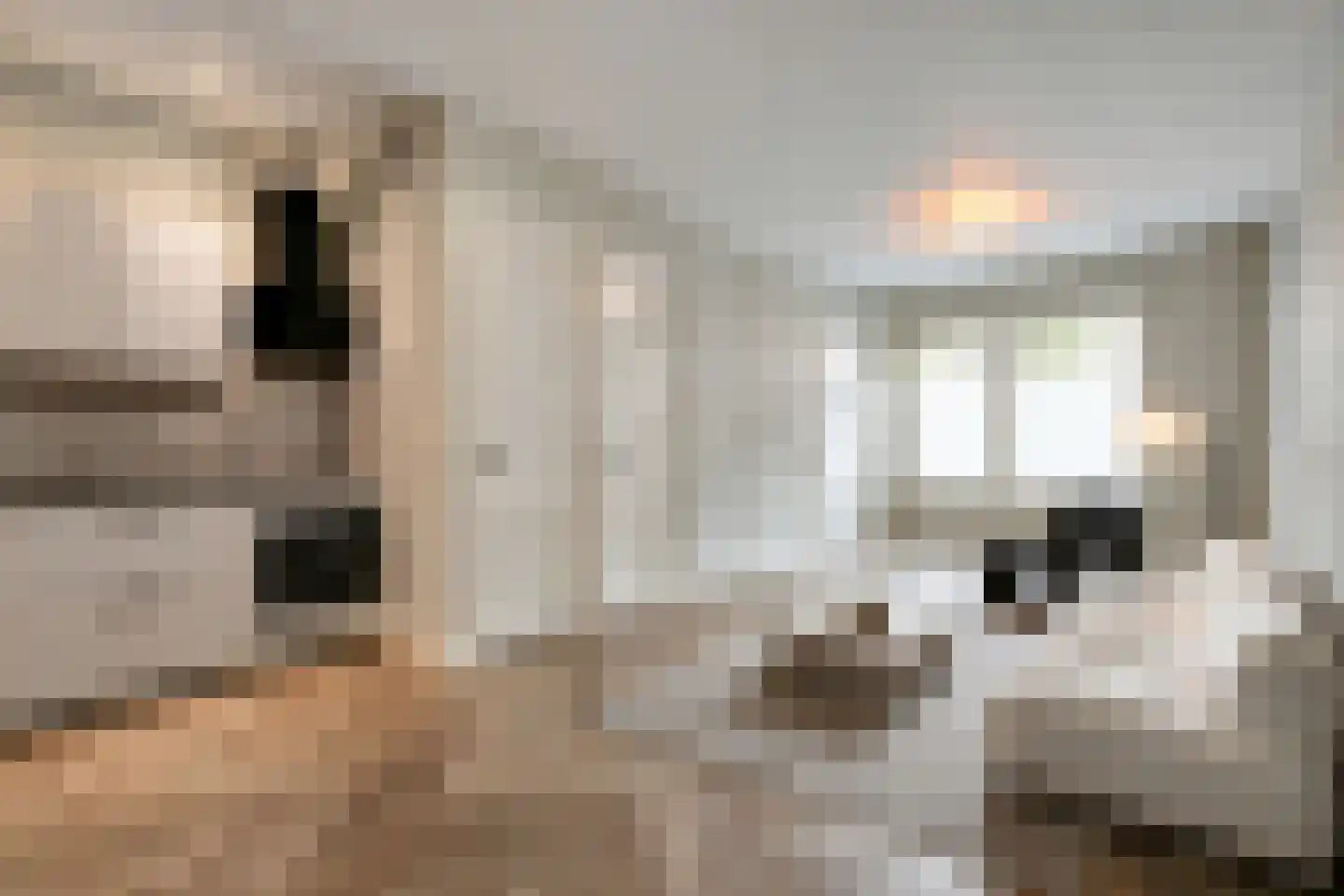 Transvaalstraat 79 H Amsterdam thumbnail 7