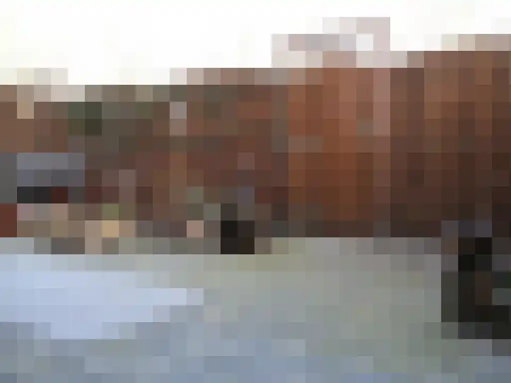 Trappendaal 12 A Maastricht thumbnail 6