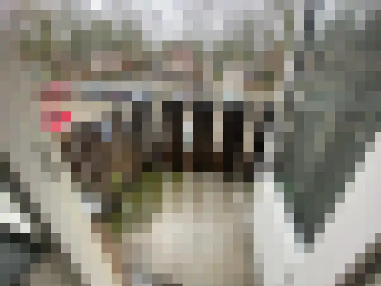 Trappendaal 12 D Maastricht thumbnail 14