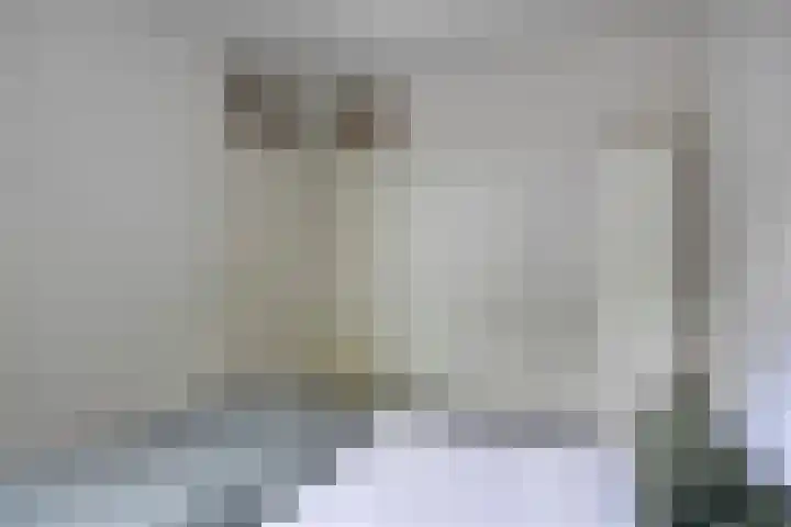 Trappendaal 16 A Maastricht thumbnail 10