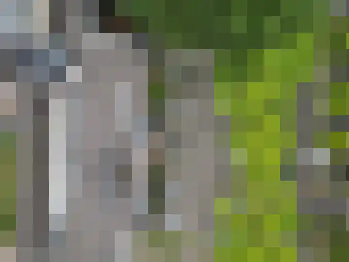 Trappendaal 16 A Maastricht thumbnail 21