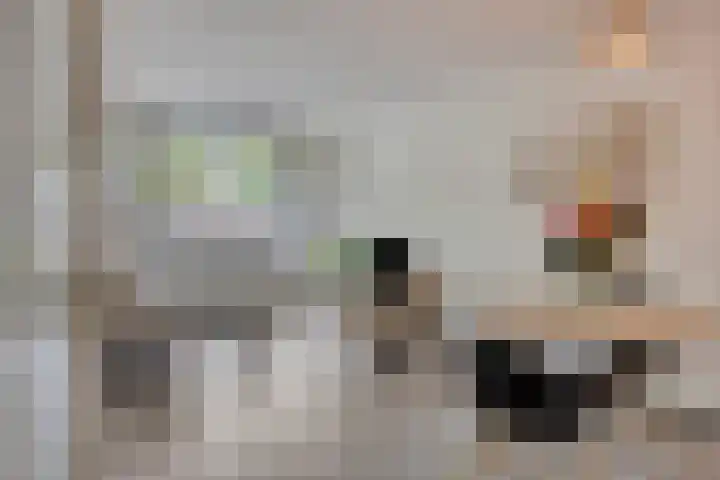 Trappendaal 16 A Maastricht thumbnail 6