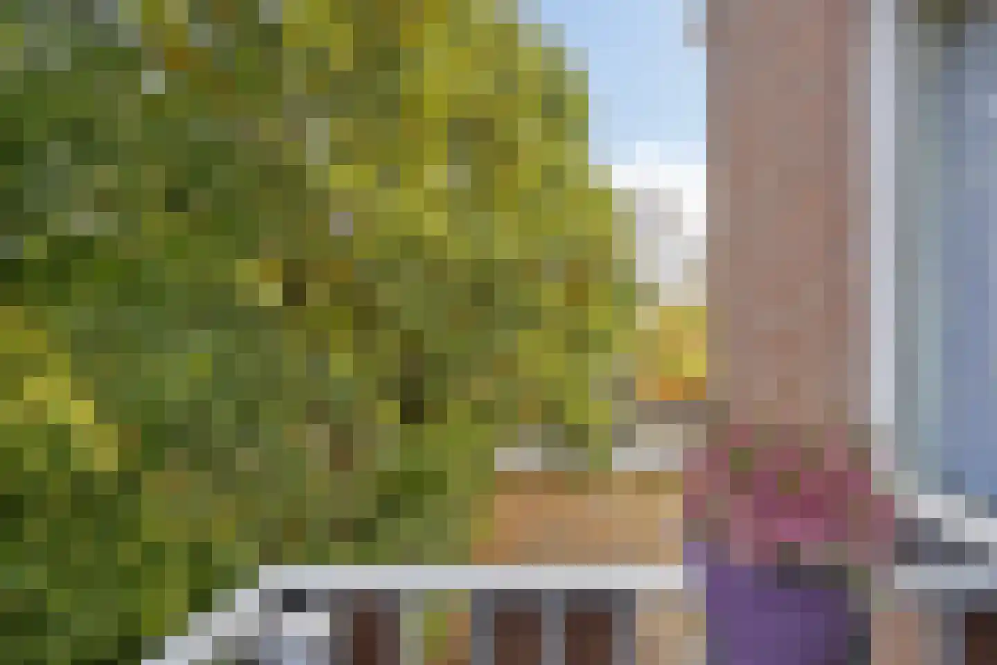 Trappendaal 18 C Maastricht thumbnail 14