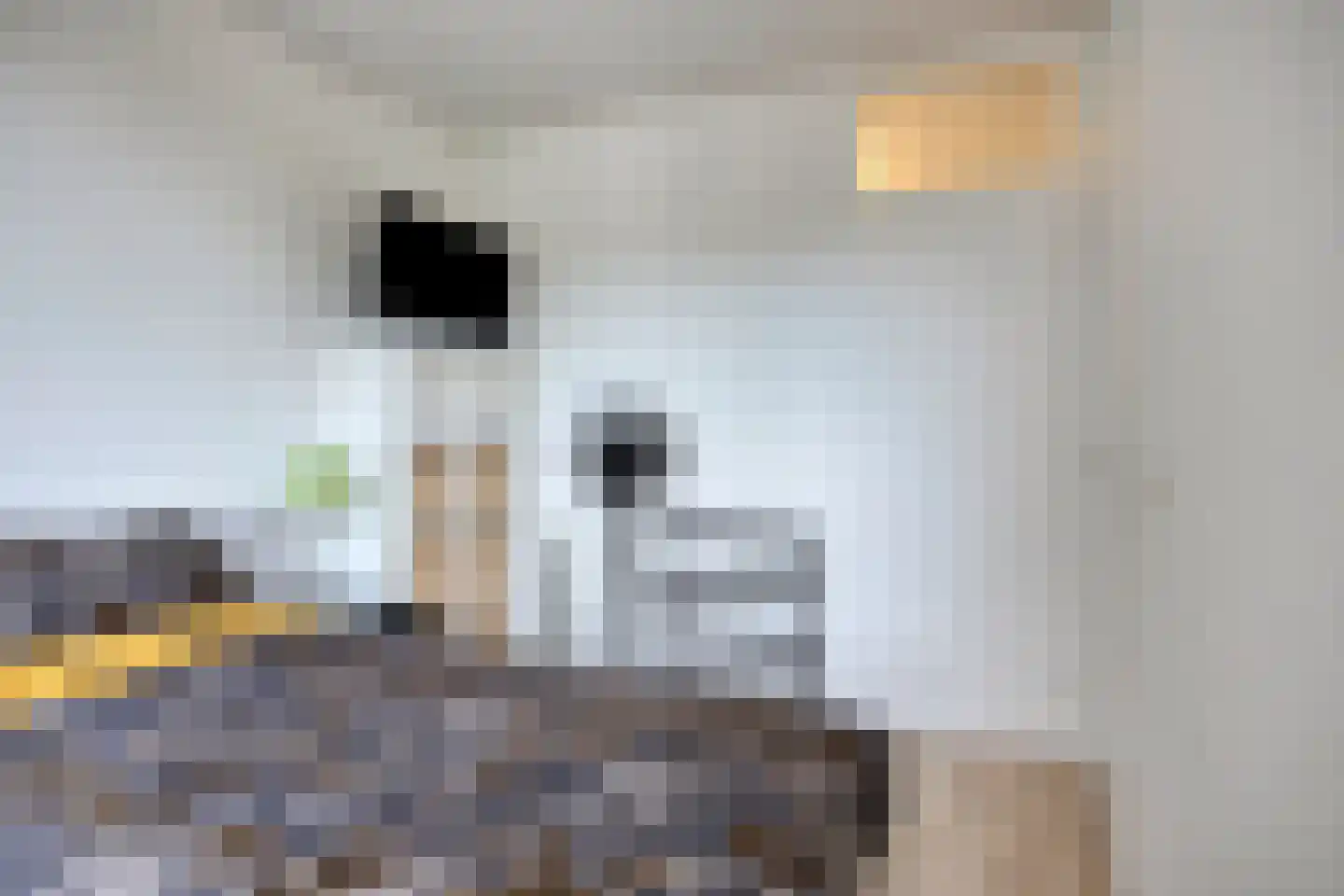 Trappendaal 2 C Maastricht thumbnail 17