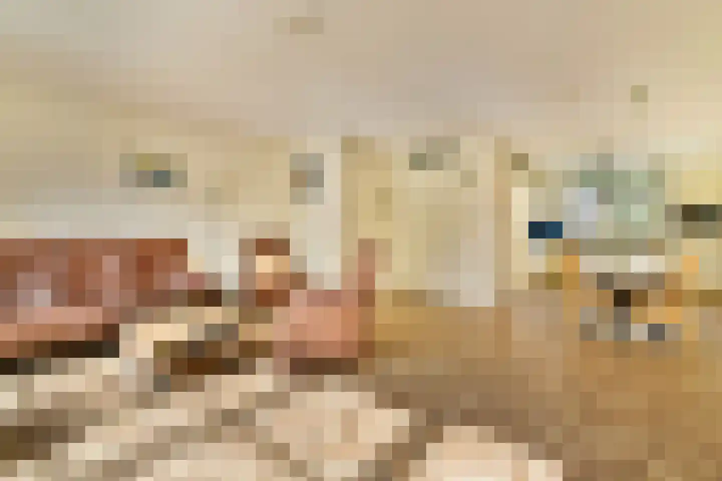 Trappistenlaan 23 Alphen aan den Rijn thumbnail 10