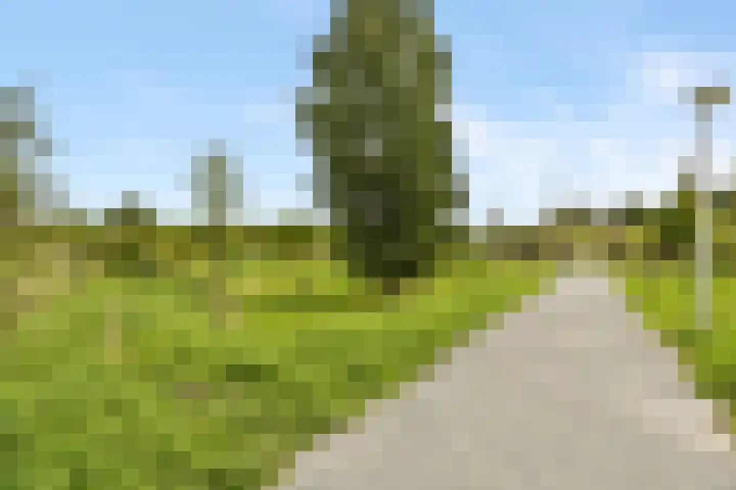 Trappistenlaan 23 Alphen aan den Rijn thumbnail 34