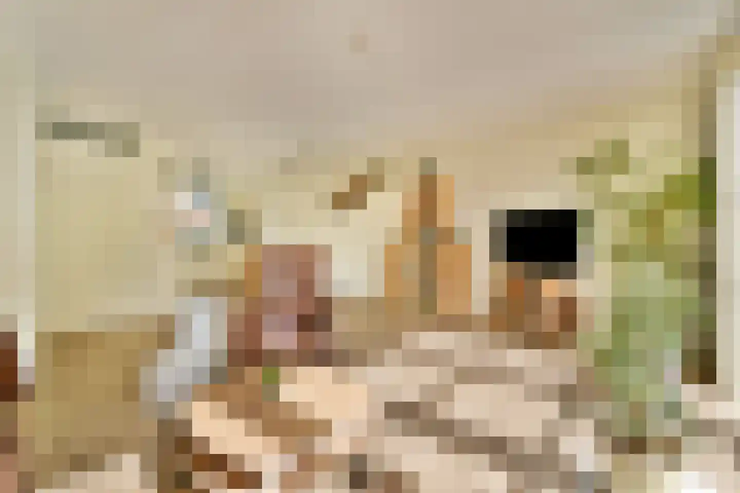 Trappistenlaan 23 Alphen aan den Rijn thumbnail 9