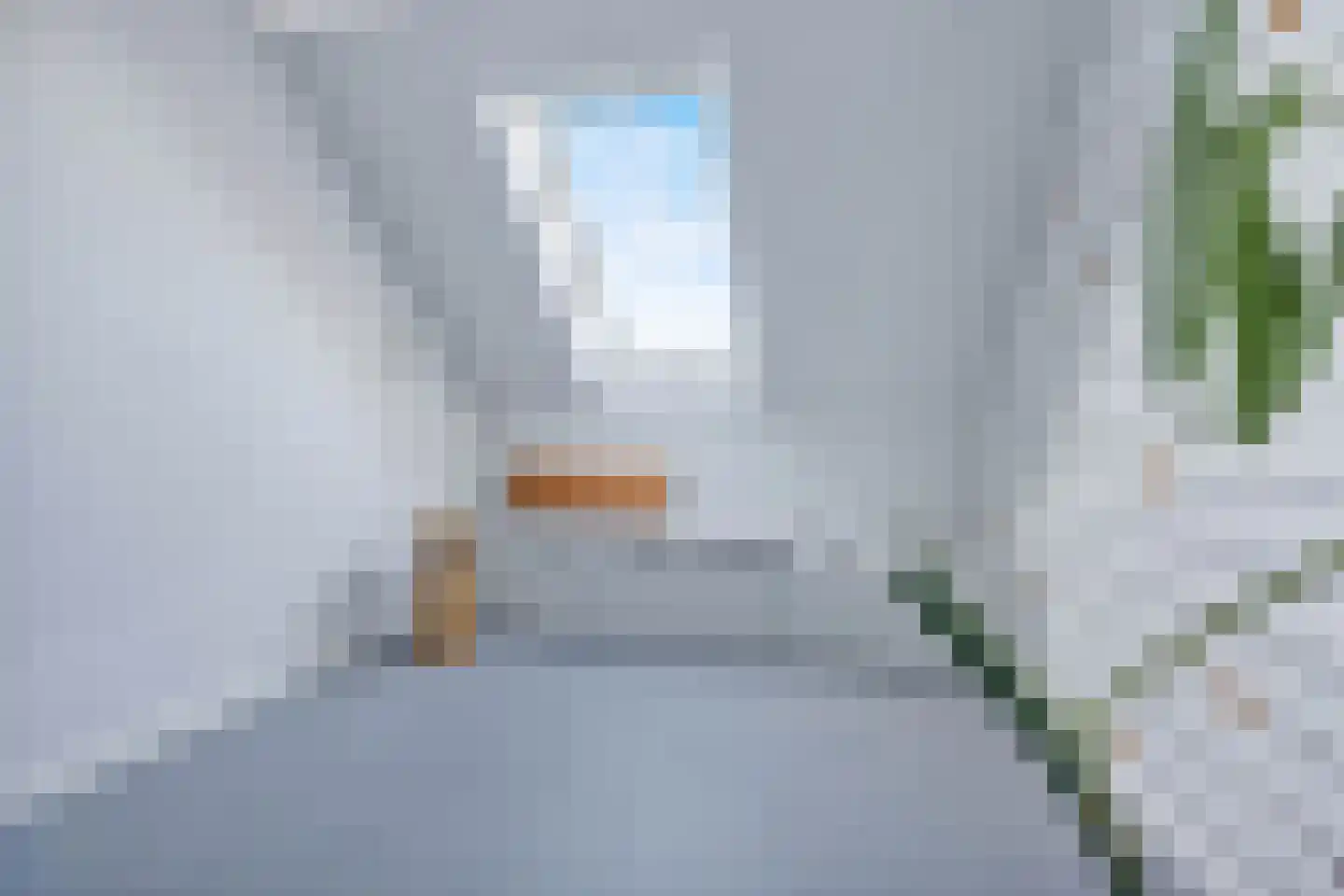 Trappistenlaan 7 Alphen aan den Rijn thumbnail 32