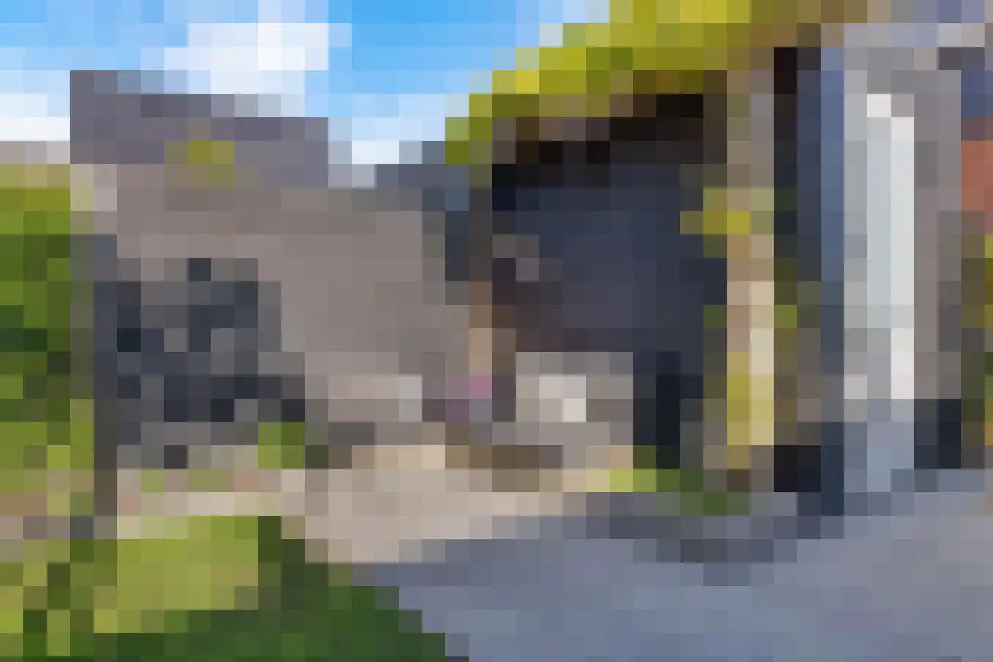 Trappistenlaan 7 Alphen aan den Rijn thumbnail 37