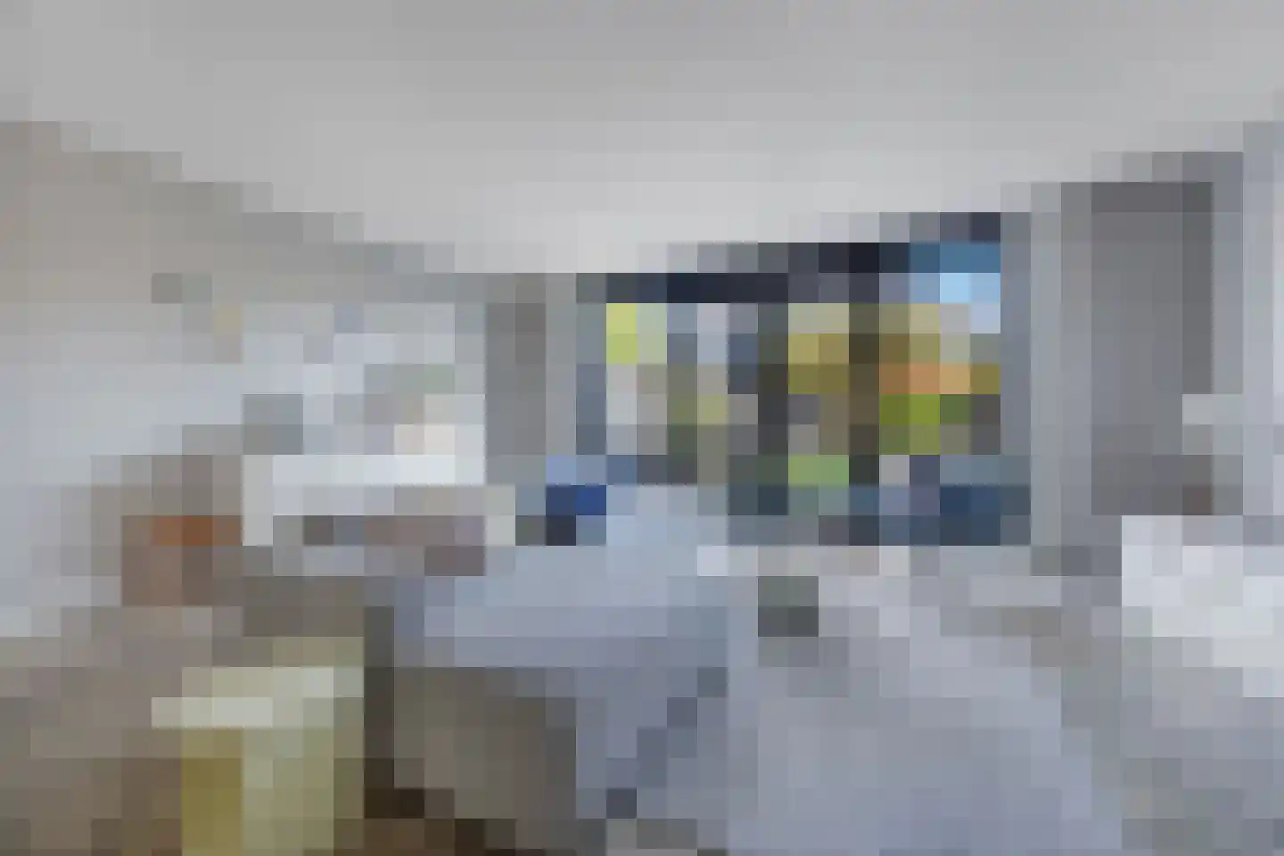 Trappistenlaan 7 Alphen aan den Rijn thumbnail 4