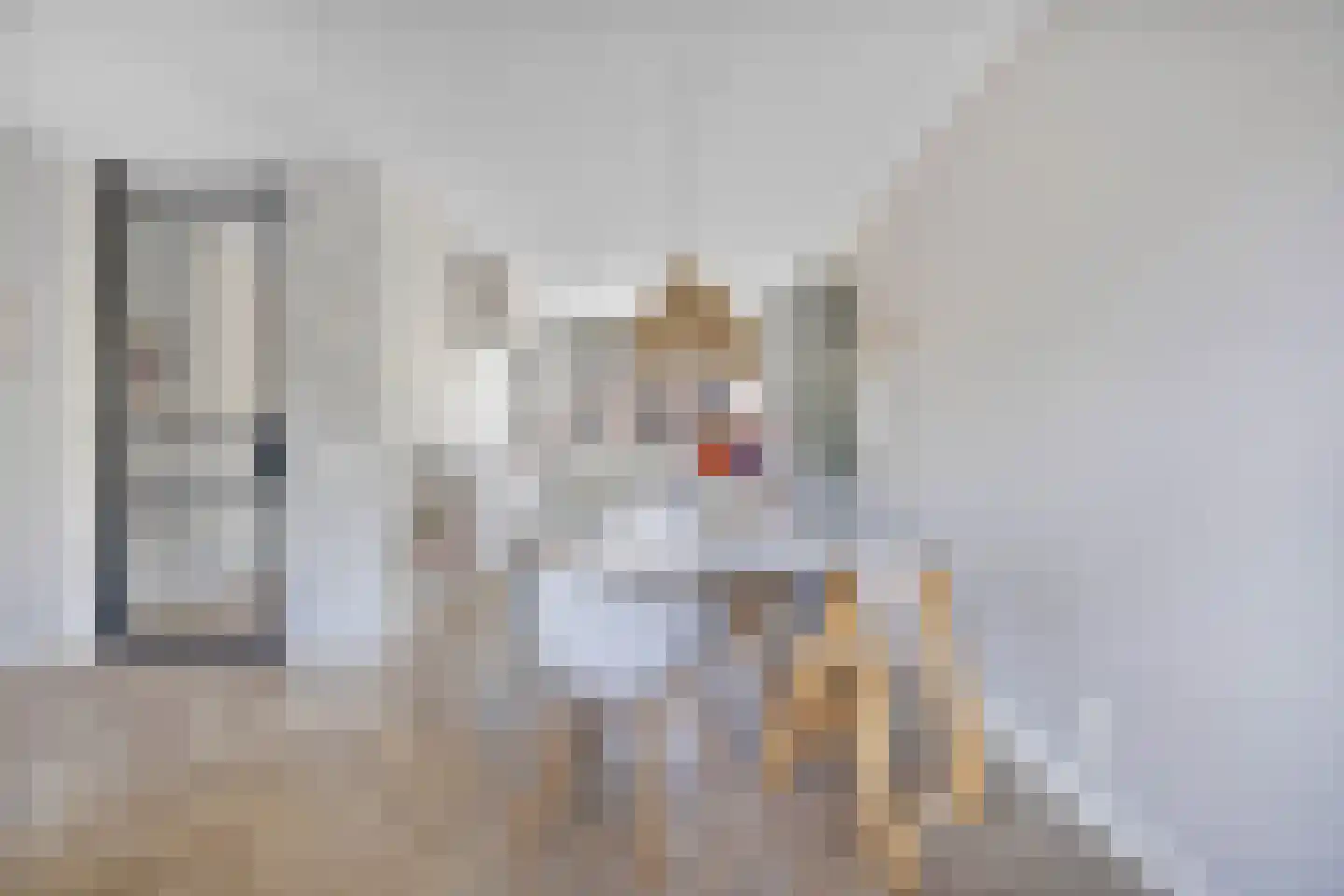 Trappistenlaan 7 Alphen aan den Rijn thumbnail 8
