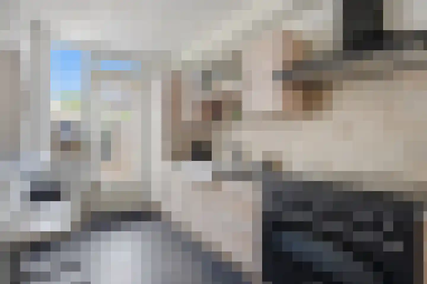 Trappistenstraat 10 Tilburg thumbnail 15