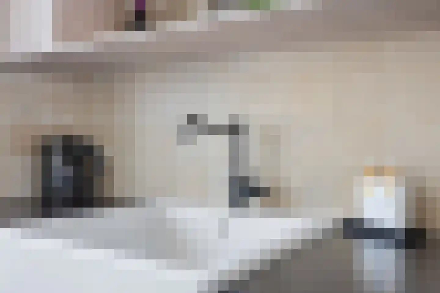 Trappistenstraat 10 Tilburg thumbnail 16