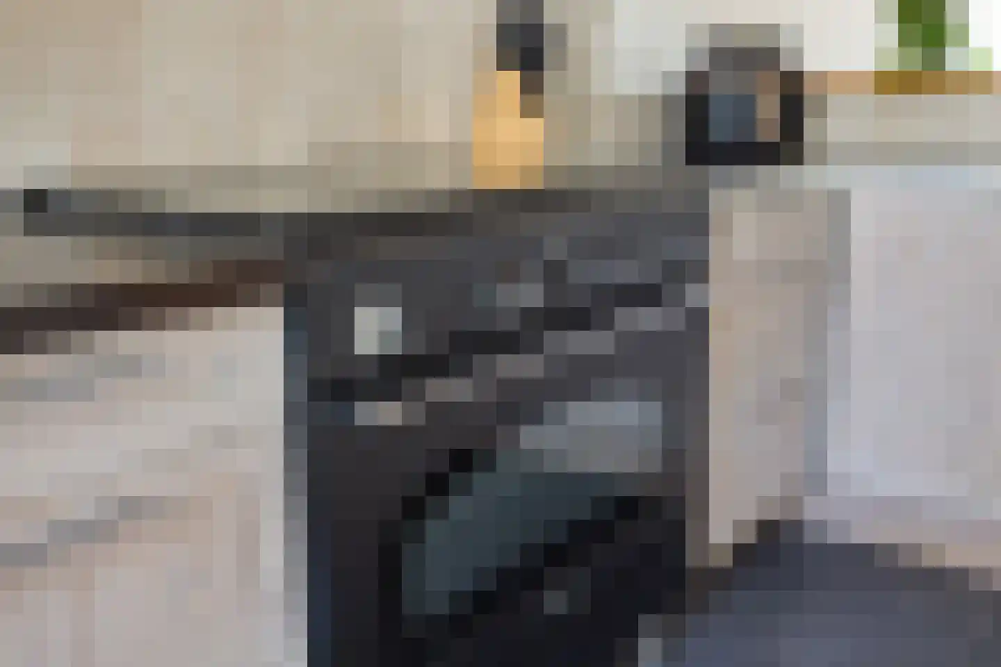 Trappistenstraat 10 Tilburg thumbnail 18