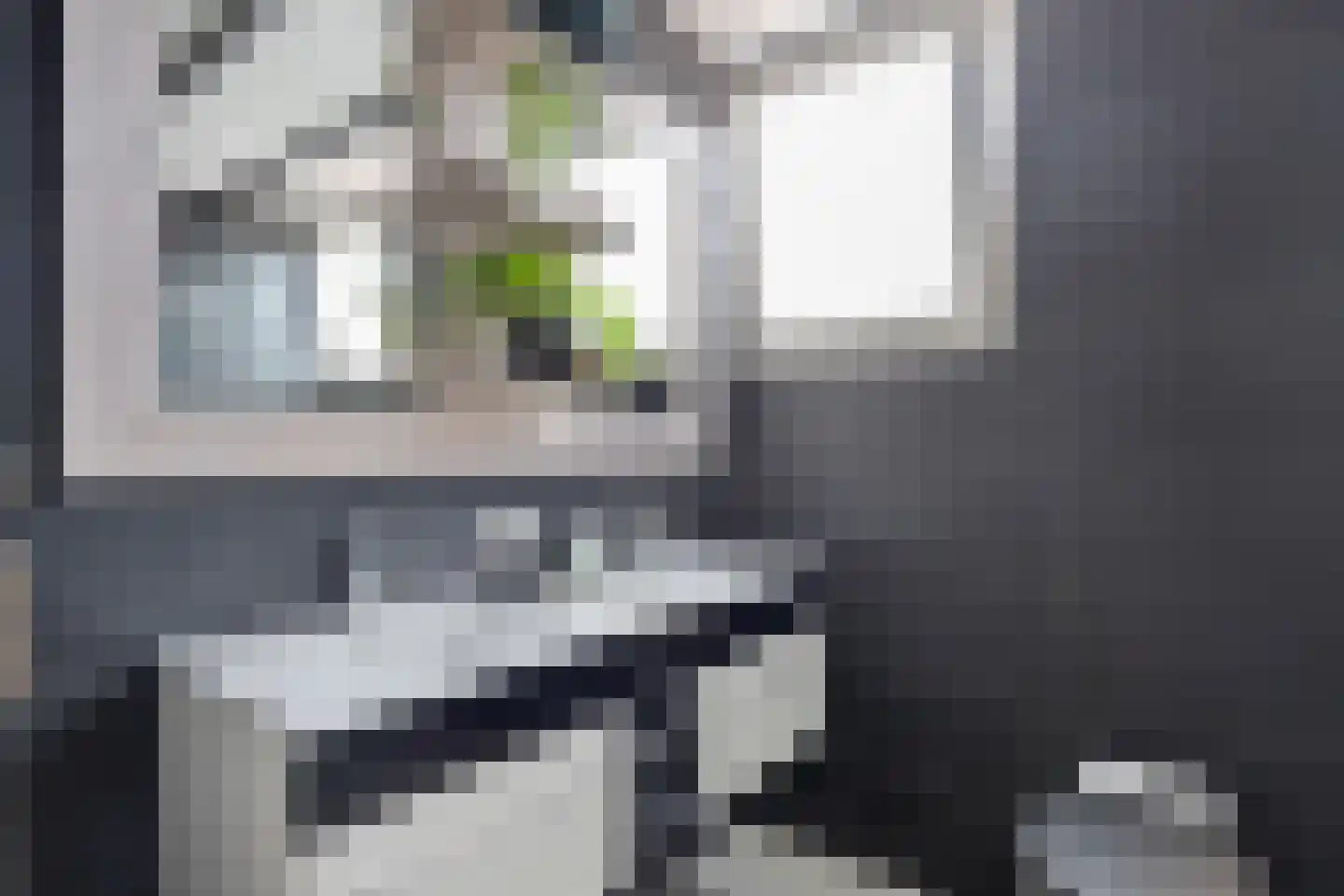 Trappistenstraat 10 Tilburg thumbnail 21