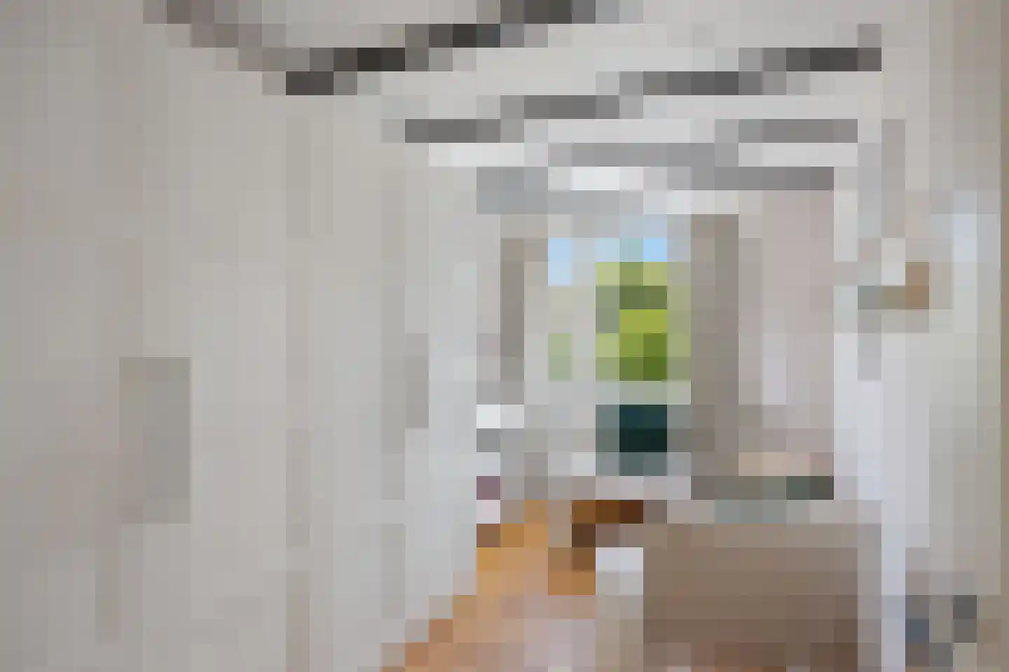Trappistenstraat 10 Tilburg thumbnail 23