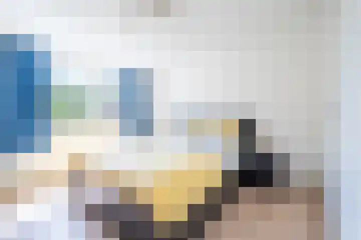 Trappistenstraat 2 Tilburg thumbnail 15