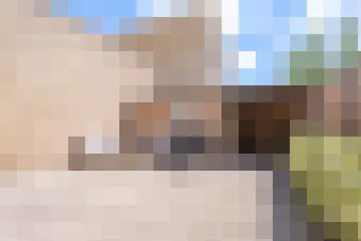 Trappistenstraat 2 Tilburg thumbnail 23