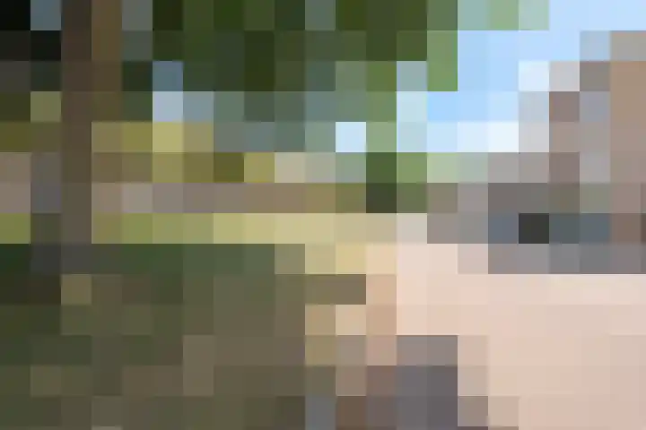 Trappistenstraat 2 Tilburg thumbnail 27