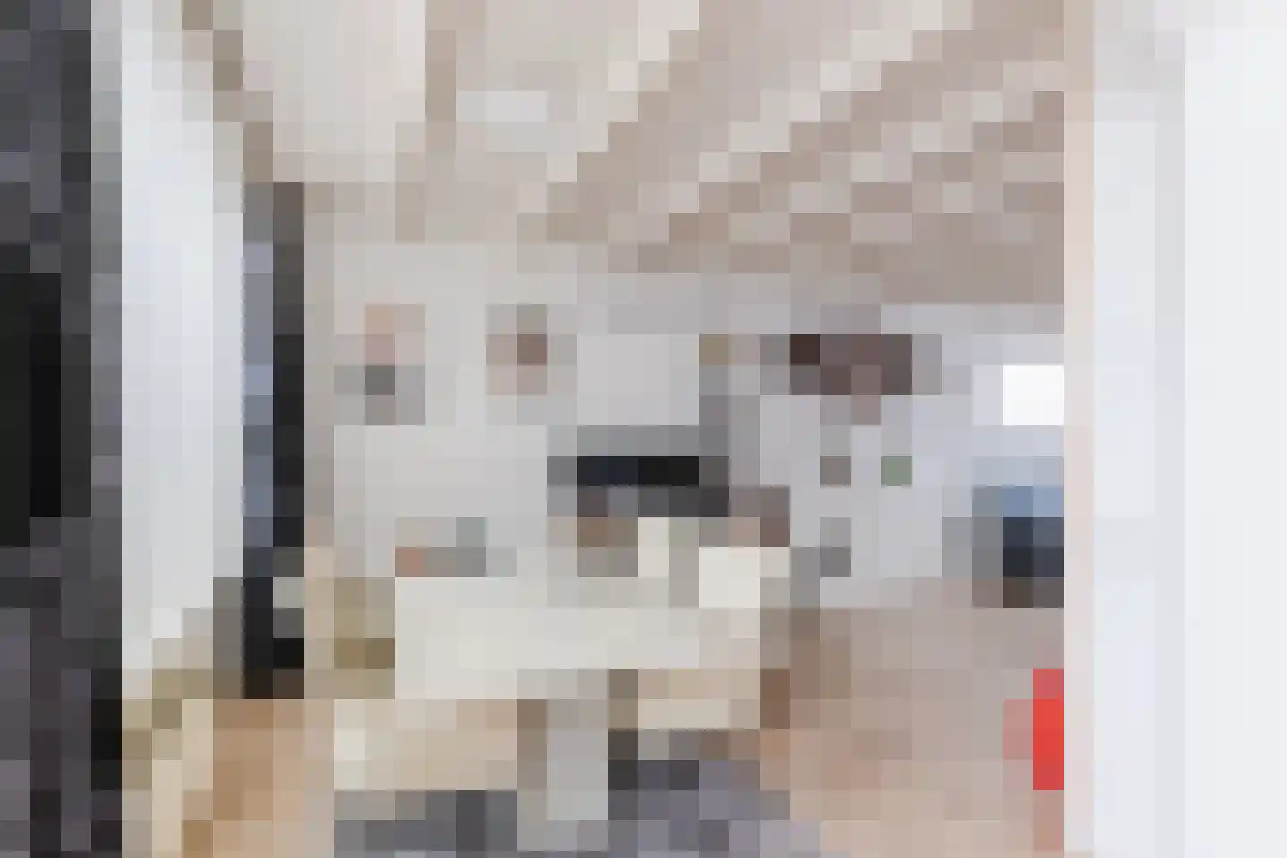 Trappistenstraat 37 Tilburg thumbnail 10