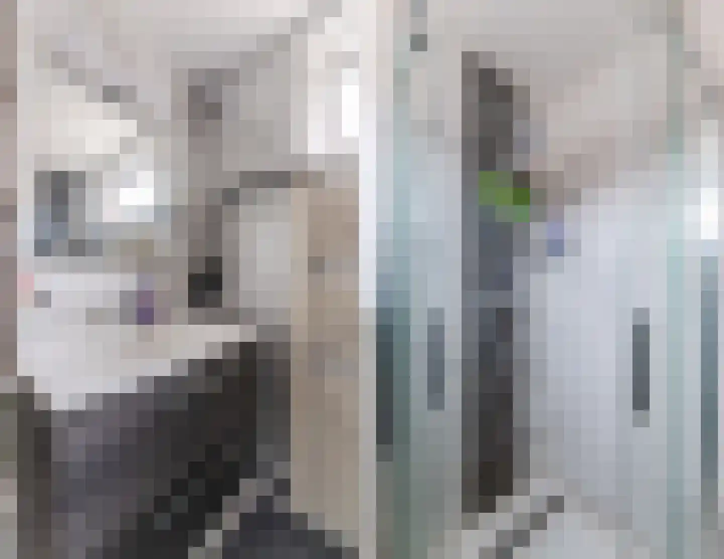 Trappistenstraat 37 Tilburg thumbnail 19