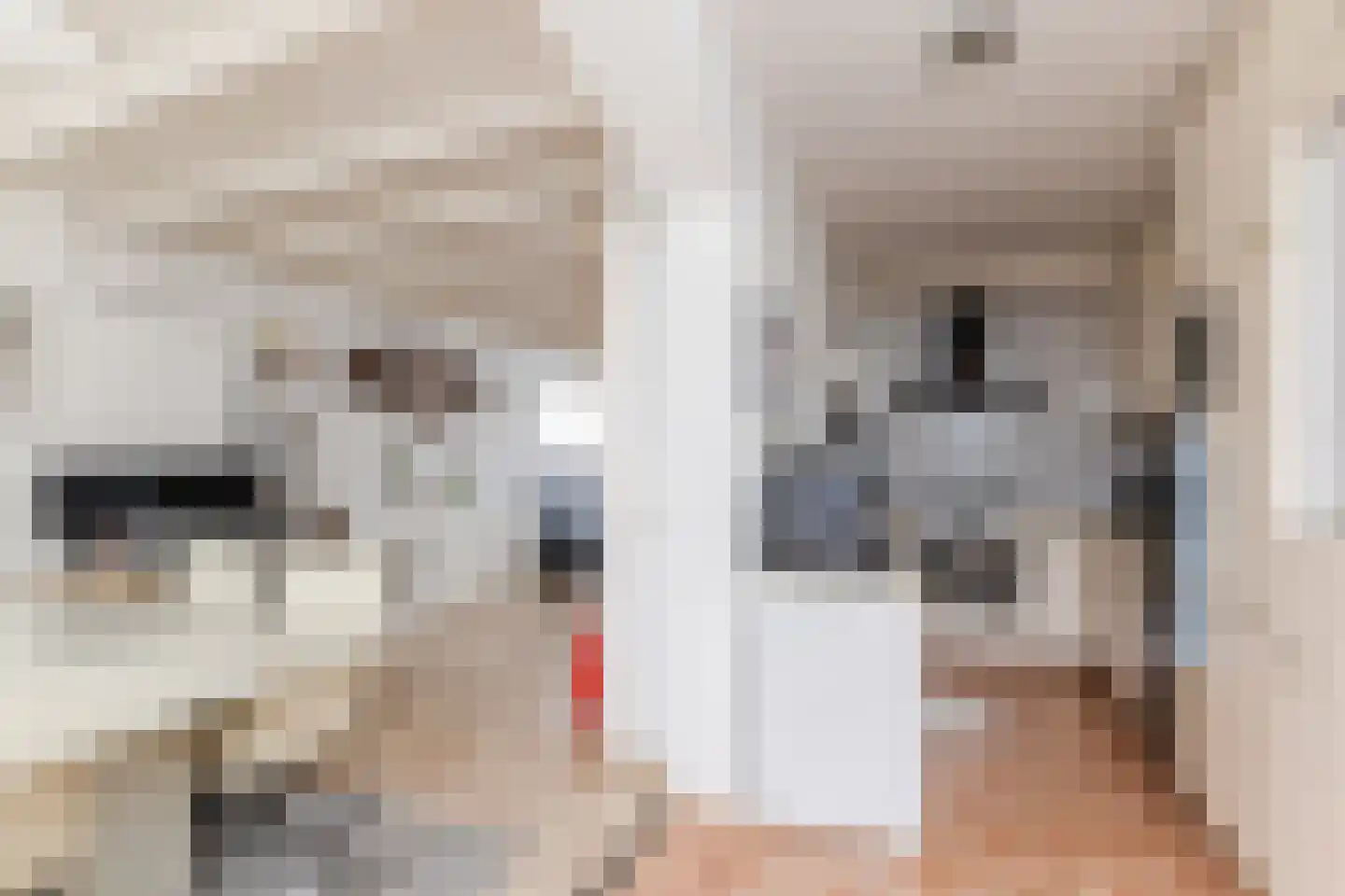 Trappistenstraat 37 Tilburg thumbnail 7
