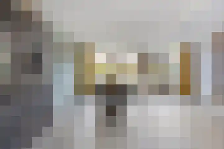 Trappistenstraat 43 Tilburg thumbnail 7