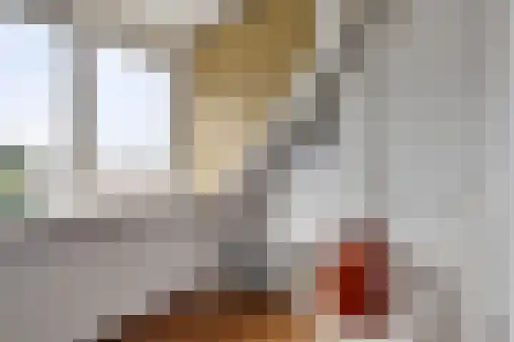Trappistenstraat 55 Tilburg thumbnail 25