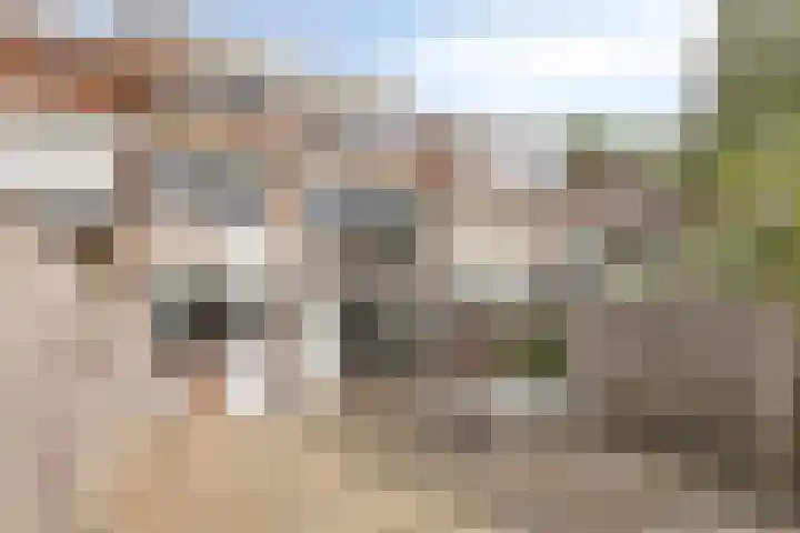 Trappistenstraat 55 Tilburg thumbnail 4