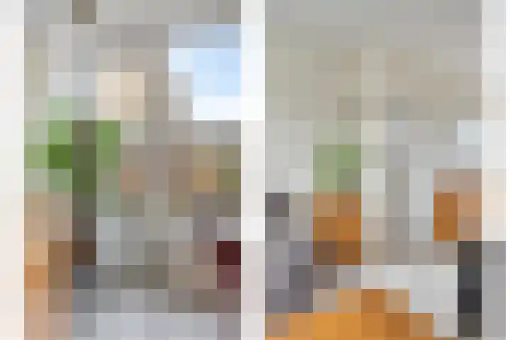 Trappistenstraat 61 Tilburg thumbnail 6