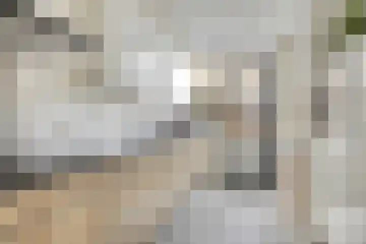 Trappistenstraat 61 Tilburg thumbnail 7