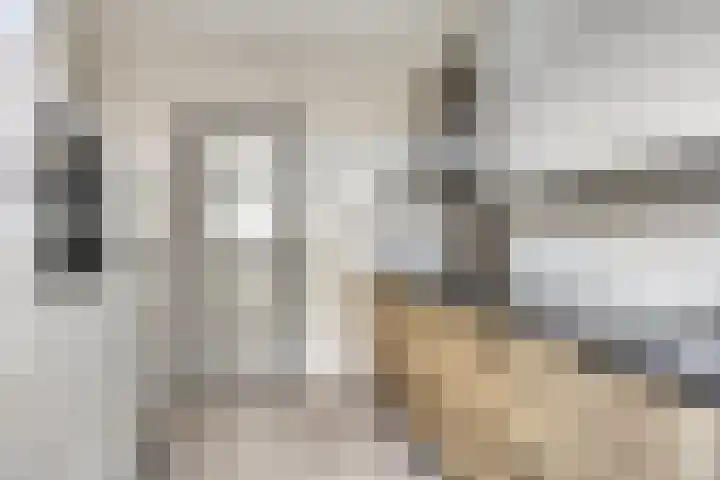 Trappistenstraat 61 Tilburg thumbnail 8