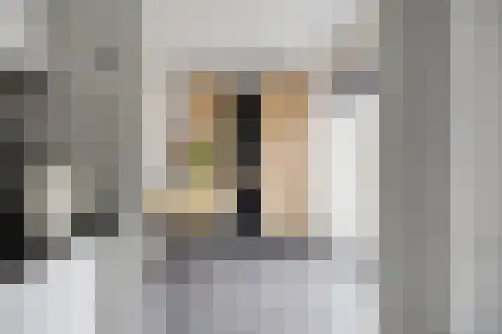 Traptoren 24 Middelburg thumbnail 12
