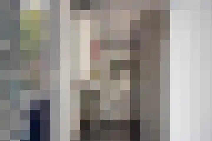 Traptoren 24 Middelburg thumbnail 13