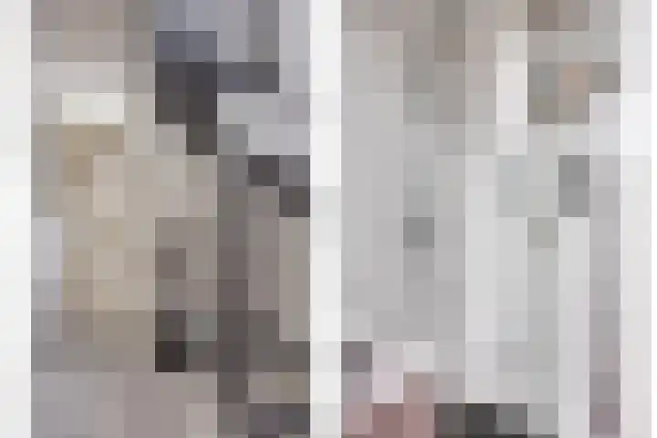 Traptoren 24 Middelburg thumbnail 14