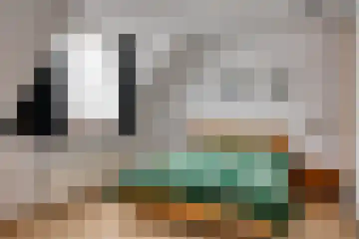 Traptoren 24 Middelburg thumbnail 15