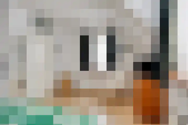 Traptoren 24 Middelburg thumbnail 16