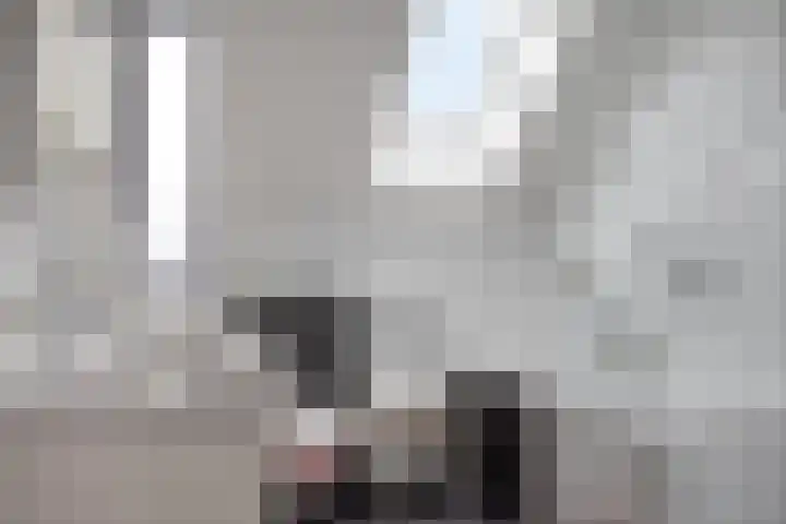 Traptoren 24 Middelburg thumbnail 17