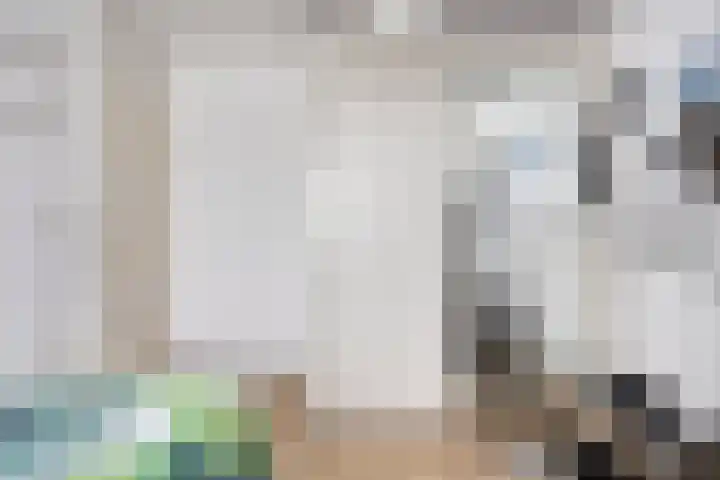 Traptoren 24 Middelburg thumbnail 19